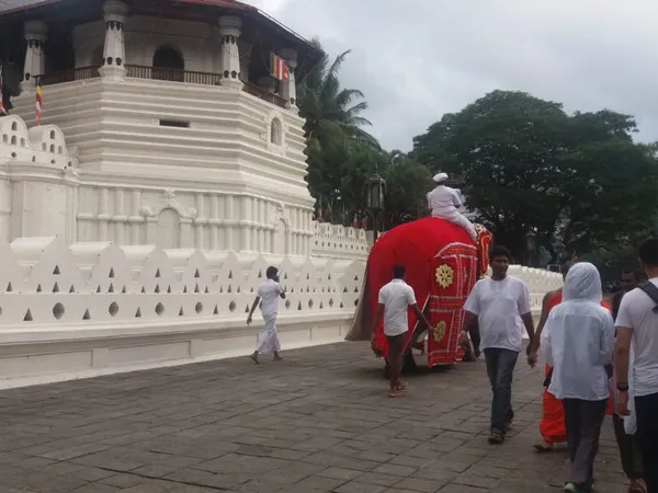 Srí Lanka: Kandy — Chrám zubu Buddhy, festival slonů a výlety do hor