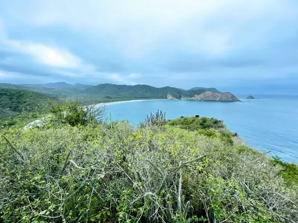 Puerto López a národní park Machalilla: velryby a Galapágy pro chudé