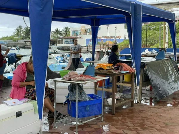 Santa Cruz: Puerto Ayora, Tortuga Bay, Darwinova stanice a želvy v horách
