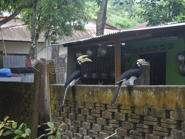 Pangkor: proč sem jet