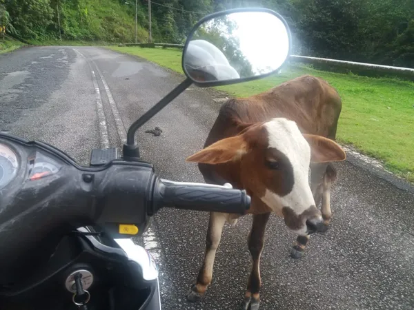 Jak cestovat po Malajsii efektivně
