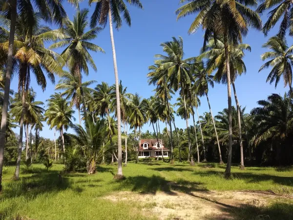 Kam v Thajsku na jihu: Phuket, Krabi, Lanta, nebo Khao Lak pro první návštěvu?
