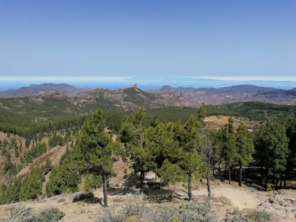 Gran Canaria: kompletní průvodce