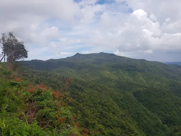 Piton de la Petite Rivière Noire: výstup na nejvyšší vrchol