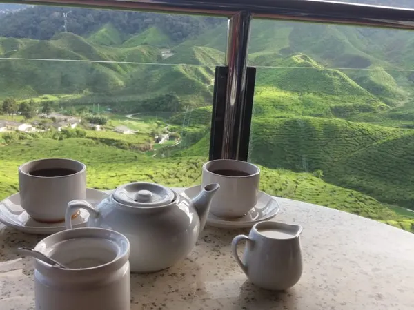 Cameron Highlands: proč sem jet
