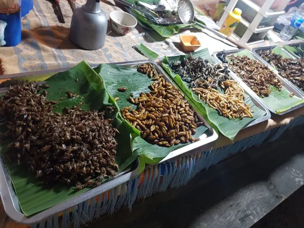 Khao Lak low-cost: kde ušetřit