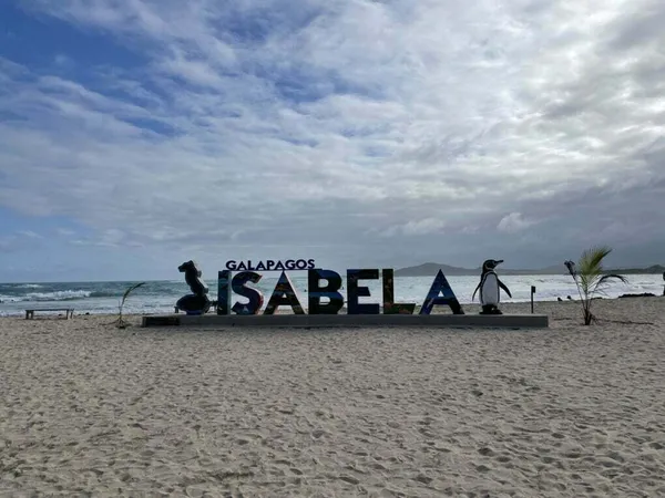 Isabela: Puerto Villamil, šnorchlování zdarma v Concha de Perla a tučňáci